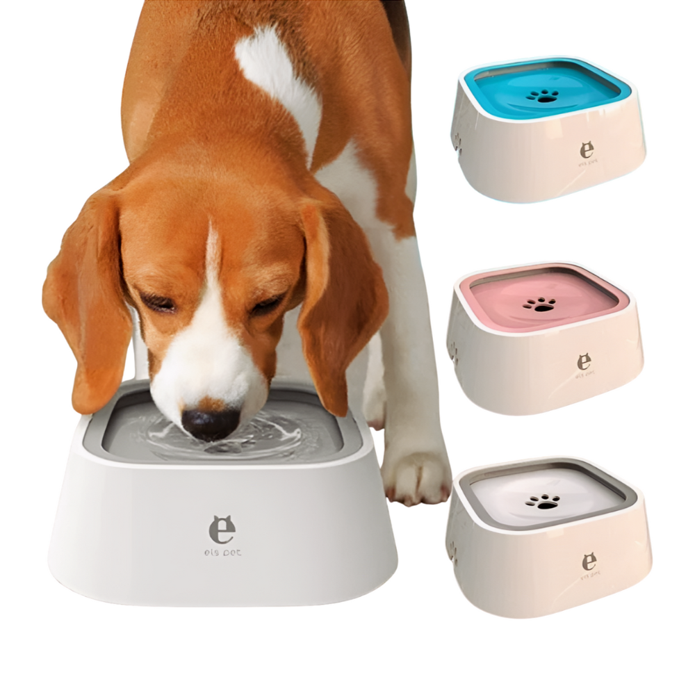 Smart Shopper Anti-Spill Dog/Cat Water Bowl™️